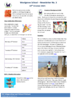 Newsletter 10 October 2025